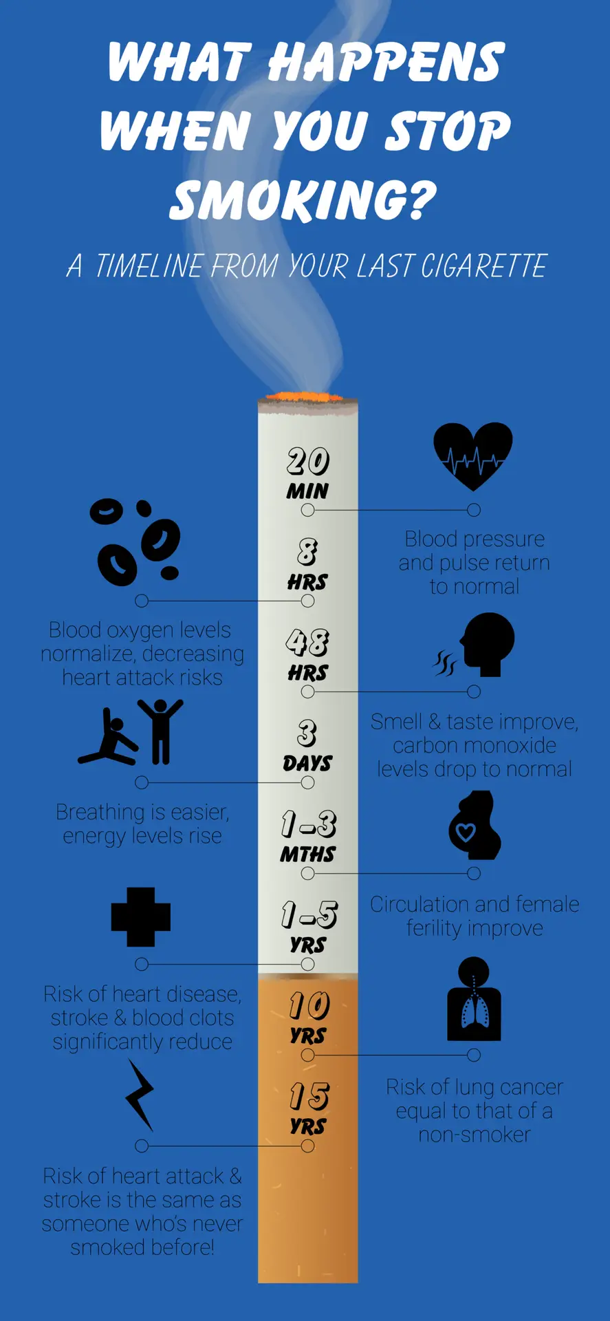 JulietteBiancoInfographic-01